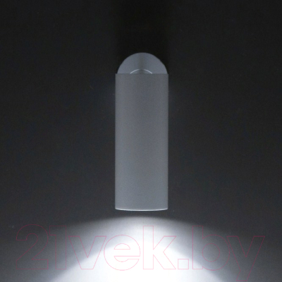 Точечный светильник Citilux Тубус CL01B120N (белый)