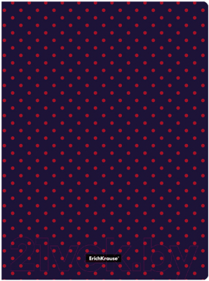 

Папка для бумаг Erich Krause, Dots In Blue / 52769