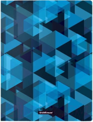 

Папка-регистратор Erich Krause, Ice Spectrum / 52810