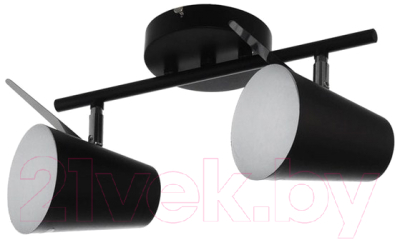 Потолочный светильник Aitin-Pro НПБ K216/2 (черный)