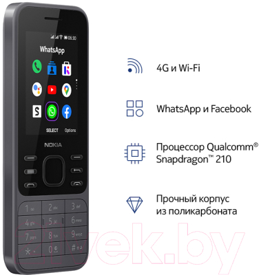 Мобильный телефон Nokia 6300 4G Dual Sim / TA-1294 (серый)