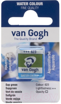 

Акварельная краска Van Gogh, Зеленый, 623 / 20866231