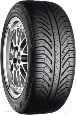 

Летняя шина Michelin, Pilot Sport A/S Plus 295/35R20 105V Porsche