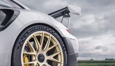 Летняя шина Michelin Pilot Sport Cup 2R 325/30ZR21 108Y Porsche