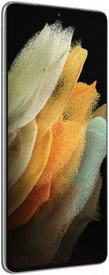 Смартфон Samsung Galaxy S21 Ultra 256GB / SM-G998BZSGSER (серебряный фантом)