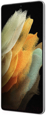 Смартфон Samsung Galaxy S21 Ultra 256GB / SM-G998BZSGSER (серебряный фантом)