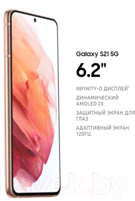 Смартфон Samsung Galaxy S21 256GB / SM-G991BZAGSER (серый фантом)