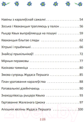 Книга Издательство Беларусь Рыцар Квых і жабіны вочкі (Бучынская Н. С.)