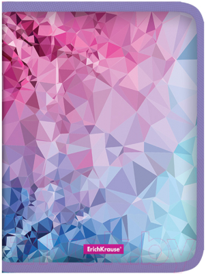 

Папка для тетрадей Erich Krause, Pink Dynamique / 52860