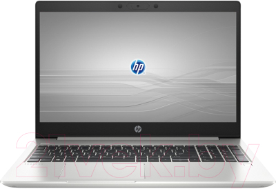 Ноутбук HP ProBook 455 G7 (1L3H0EA)