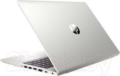 Ноутбук HP ProBook 455 G7 (1L3H0EA)