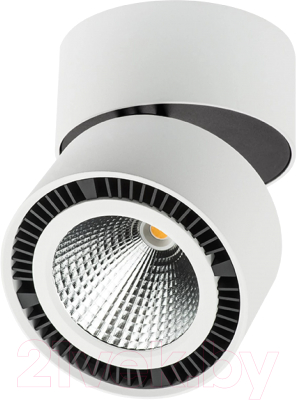 Трековый светильник Lightstar Forte Muro A1T214830