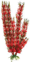 Декорация для аквариума Barbus Перестолистник / Plant 001/50 (красный) - 