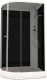 Душевая кабина Domani-Spa Delight 128 R / DS01D128RLBT00 (черный/тонированное стекло) - 