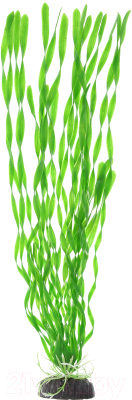 Декорация для аквариума Barbus Валиснерия спиральная / Plant 014/50 (зеленый)