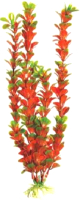 

Декорация для аквариума Barbus, Людвигия ползучая / Plant 022/50