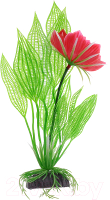 Декорация для аквариума Barbus Апоногетон Мадагаскарский с цветком / Plant 023/50