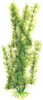 Декорация для аквариума Barbus Яванский мох / Plant 024/50 (зеленый) - 