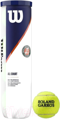 Набор теннисных мячей Wilson Roland Garros All CT / WRT116400 (4шт)