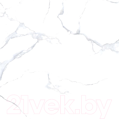 Плитка Netto Alpine Carrara Polished (600x600)