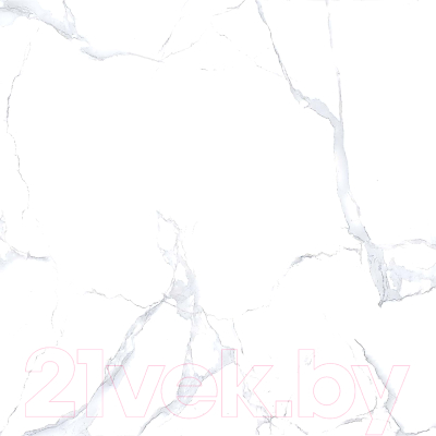 Плитка Netto Alpine Carrara Polished (600x600)