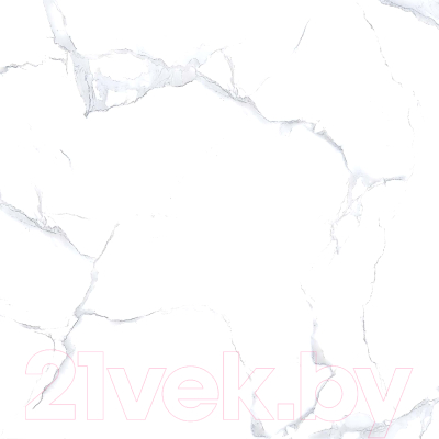 Плитка Netto Alpine Carrara Polished (600x600)
