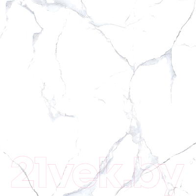 Плитка Netto Alpine Carrara Polished (600x600)