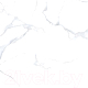 Плитка Netto Alpine Carrara Polished (600x600) - 