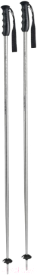 Горнолыжные палки Komperdell Alpine Universal Blazer / 1321105-10 (р.125, серебряный)