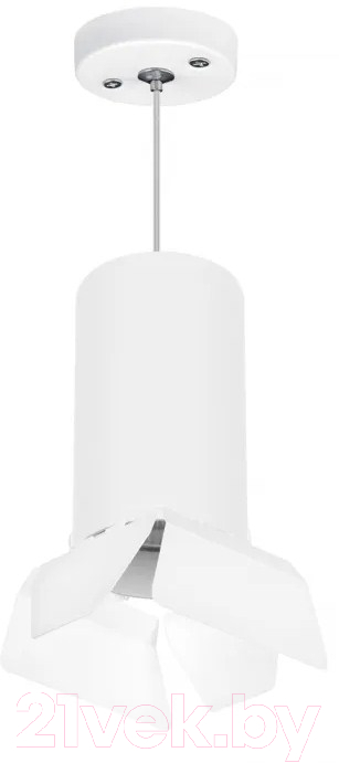 Потолочный светильник Lightstar Rullo RP6486486