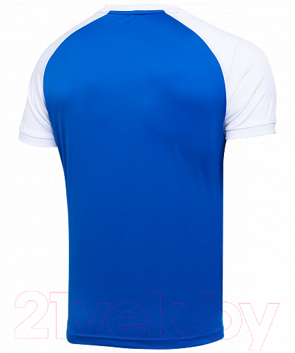 Футболка игровая футбольная Jogel Camp Reglan Jersey / JFT-1021 (S, синий/белый) — фото 2