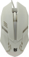 Миниатюра изображения товара Мышь Defender Cyber MB-560L / 52561 (белый)