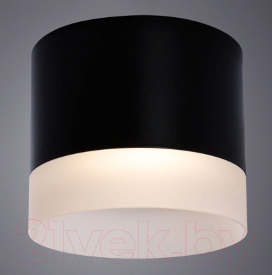 Потолочный светильник Arte Lamp Castor A5554PL-1BK