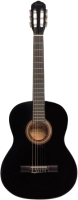 Акустическая гитара Terris TC-390A BK - 
