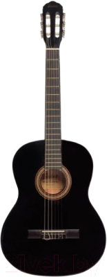 Акустическая гитара Terris TC-390A BK