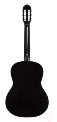 Акустическая гитара Terris TC-390A BK