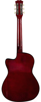 Акустическая гитара Terris TF-3802С SB