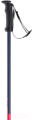 Горнолыжные палки Elan 2020-21 Speedrod W / CD501420 (р.115, розовый)