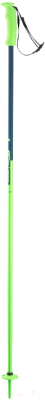 

Горнолыжные палки Elan, 2020-21 SpeedRod W / CD501120