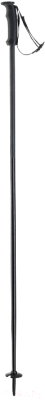 

Горнолыжные палки Elan, 2020-21 SpeedRod W / CD501220