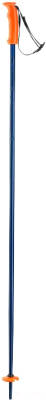 Горнолыжные палки Elan 2020-21 HotRod / CD602220 (р.125, синий)