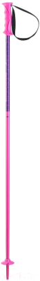 Горнолыжные палки Elan 2020-21 HotRod JR / CD803320 (р.100, розовый)