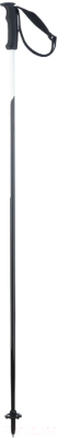 

Горнолыжные палки Elan, Porsche Design Elan / CD000220