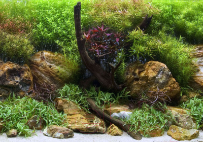 Декорация для аквариума Barbus Водный сад. Яркие камни / Background 016