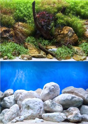 Декорация для аквариума Barbus Водный сад. Яркие камни / Background 016