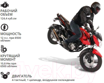 Мотоцикл Bajaj Pulsar NS 125 (красный/серый)