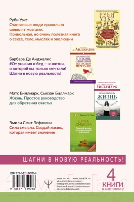 Набор книг АСТ Большое счастье в подарок! (Де Анджелис Б.)