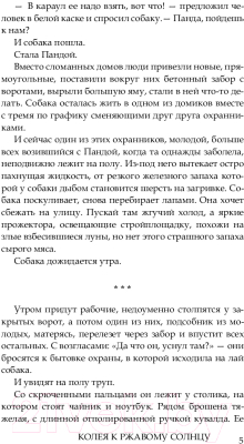 Книга АСТ Колея к ржавому солнцу (Воронин Д. А.)