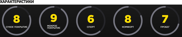 Летняя шина Pirelli Powergy 225/50R17 98Y