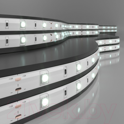 Изображение товара Светодиодная лента Elektrostandard 5050 30Led 7.2W IP65 12V 6500K (холодный белый)
